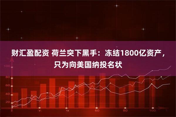财汇盈配资 荷兰突下黑手：冻结1800亿资产，只为向美国纳投名状