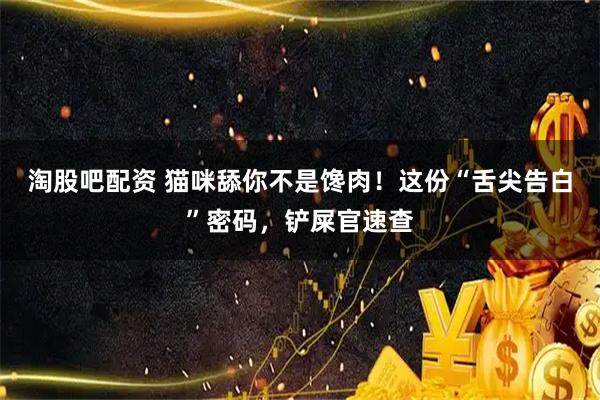 淘股吧配资 猫咪舔你不是馋肉！这份“舌尖告白”密码，铲屎官速查