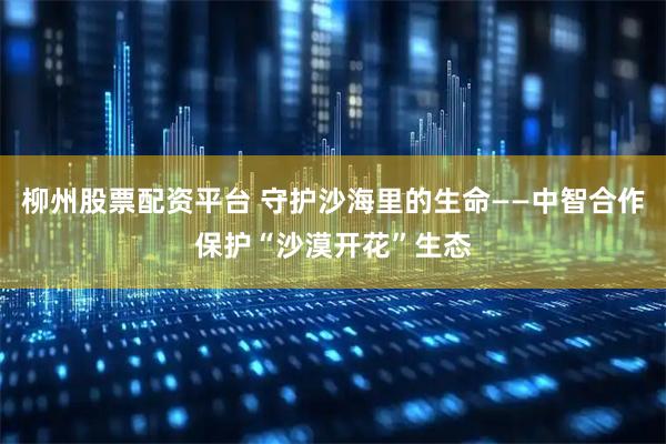 柳州股票配资平台 守护沙海里的生命——中智合作保护“沙漠开花”生态