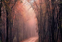 玩股如何加杠杆:股票三板app-特朗普突发！美联储大消息！黄金跳水！