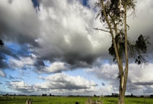 手机上如何交易股票:刚开户可以买哪些股票-19名高管集体增持 新央企成立2周内都有哪些新动作