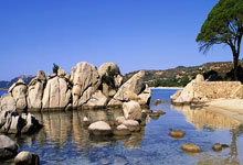 手机股票有哪些:怎样在网上申请股票开户-港交所陈翊庭：港交所将研究24小时交易机制